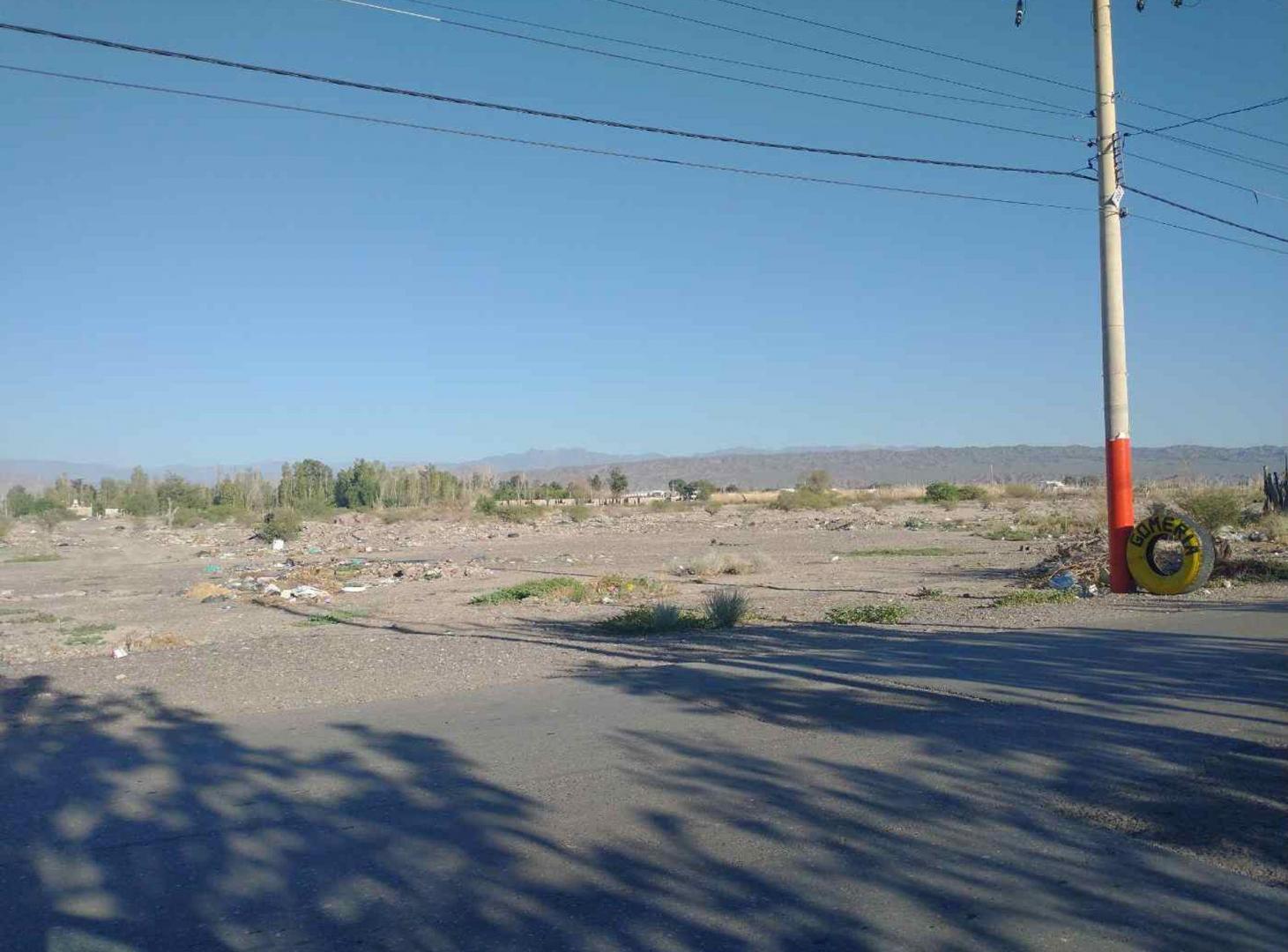 Foto de Terreno de 12.500 m2 en Chimbas, imagen 4