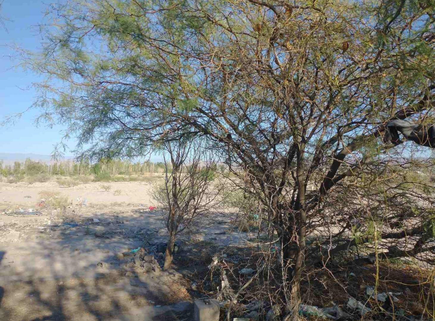 Foto de Terreno de 12.500 m2 en Chimbas, imagen 2