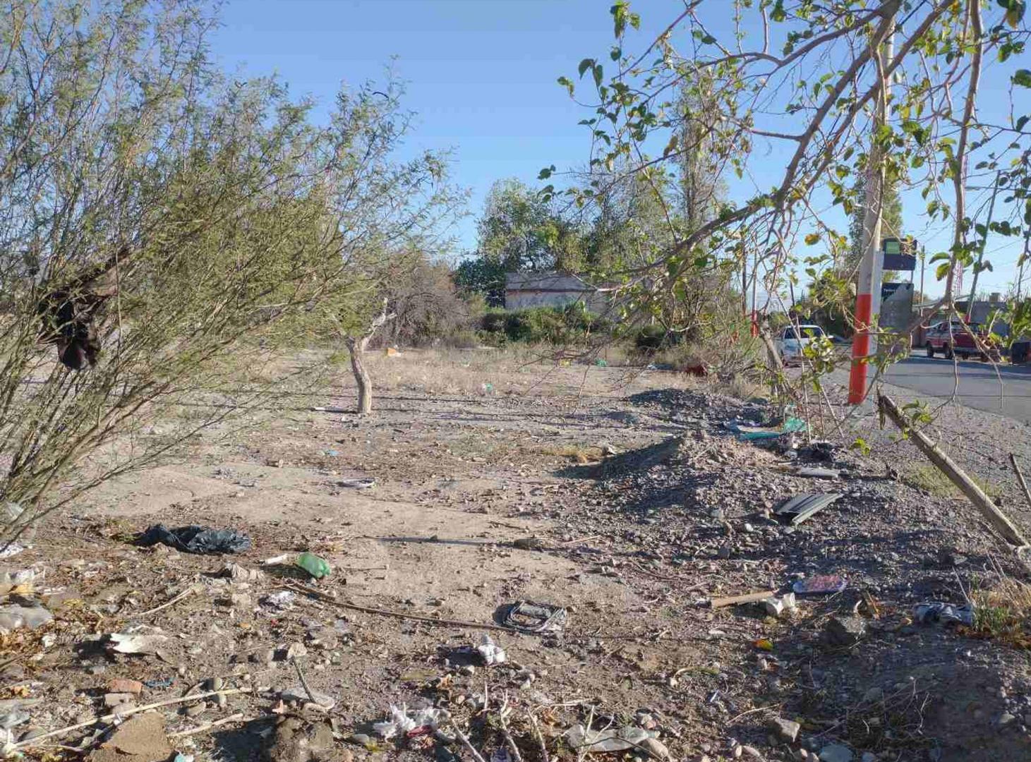 Foto de Terreno de 12.500 m2 en Chimbas, imagen 1