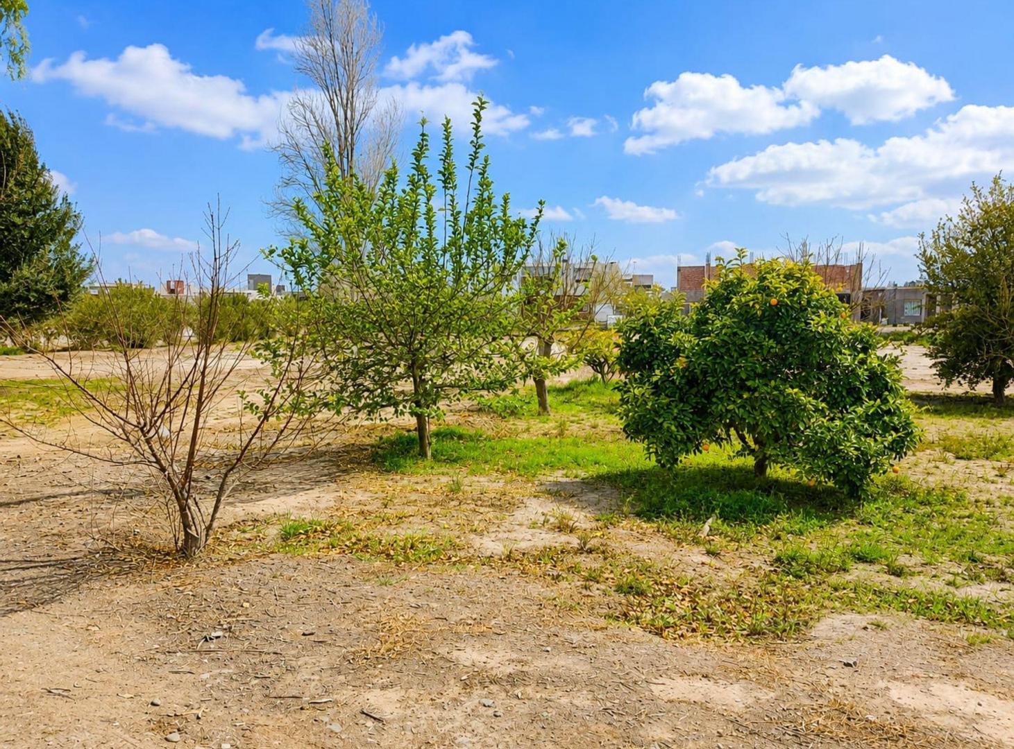 Foto de Terreno de 1409 m2. Marquesado, Rivadavia, imagen 2