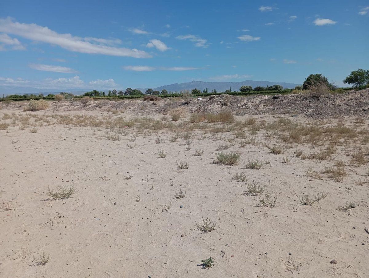 Foto de Finca de 1,2 hectáreas en El Mogote, imagen 4