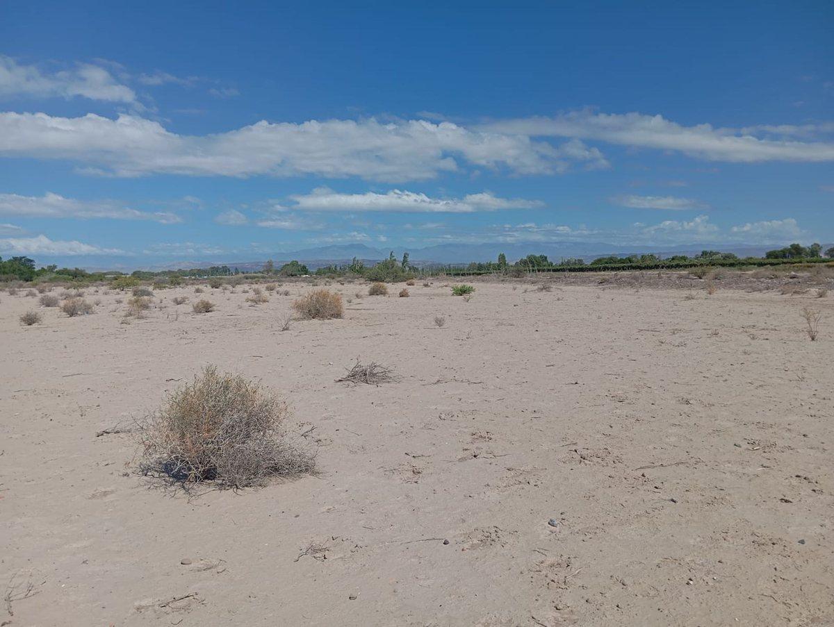 Foto de Finca de 1,2 hectáreas en El Mogote, imagen 5