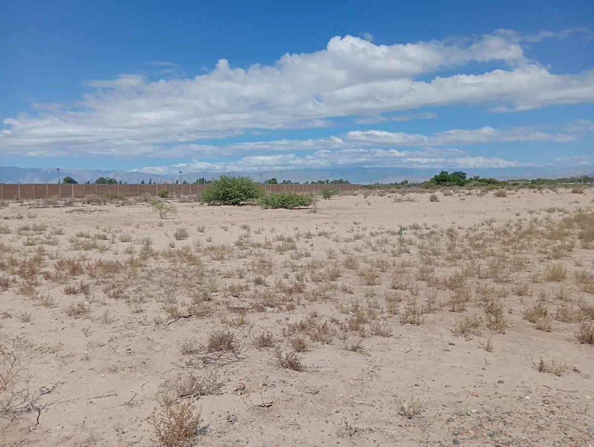 Foto de Finca de 1,2 hectáreas en El Mogote, imagen 3