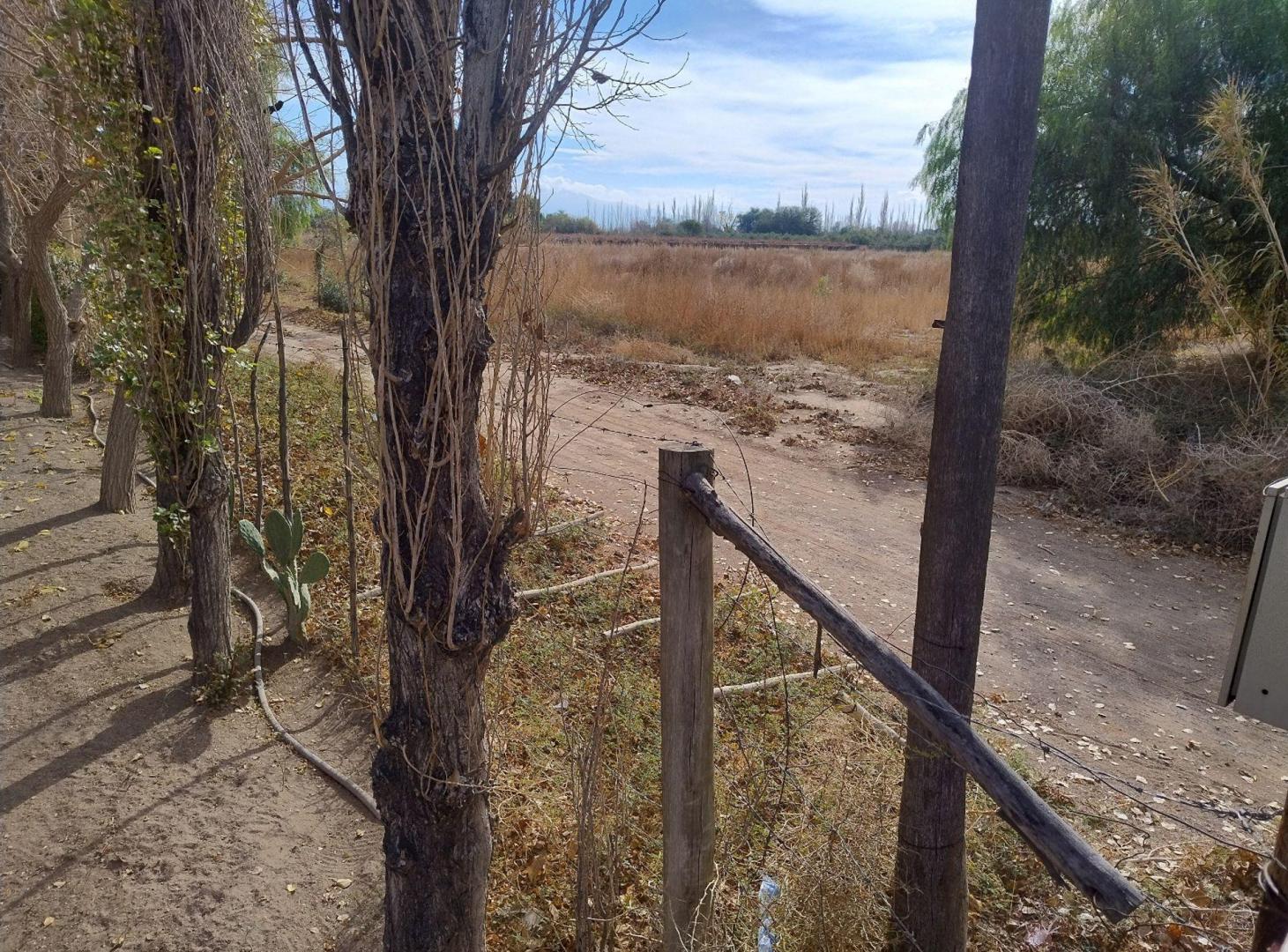 Foto de TERRENO DE 2 HAS EN GENERAL ACHA Y CALLE 14.POCITO, imagen 2