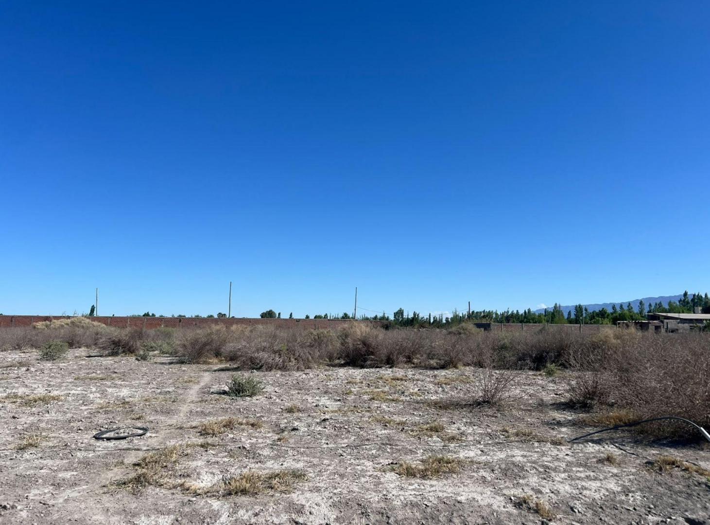 Foto de MEDANO DE ORO 3500M2 LISTO PARA ESCRITURAR, imagen 1