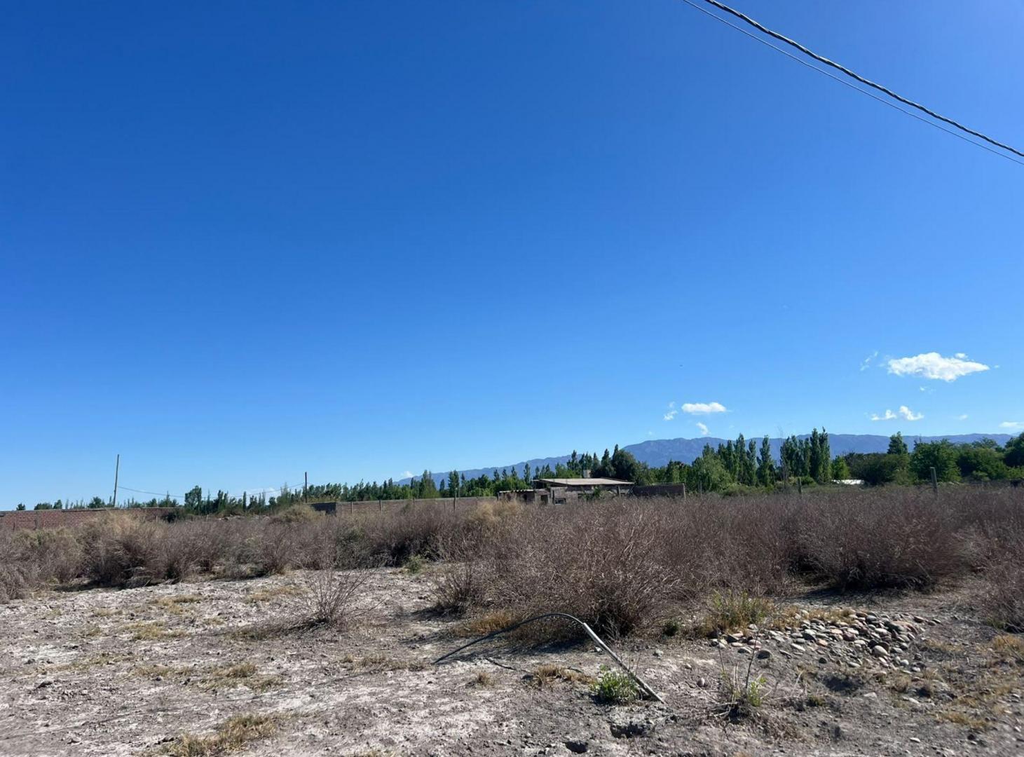Foto de MEDANO DE ORO 3500M2 LISTO PARA ESCRITURAR, imagen 5