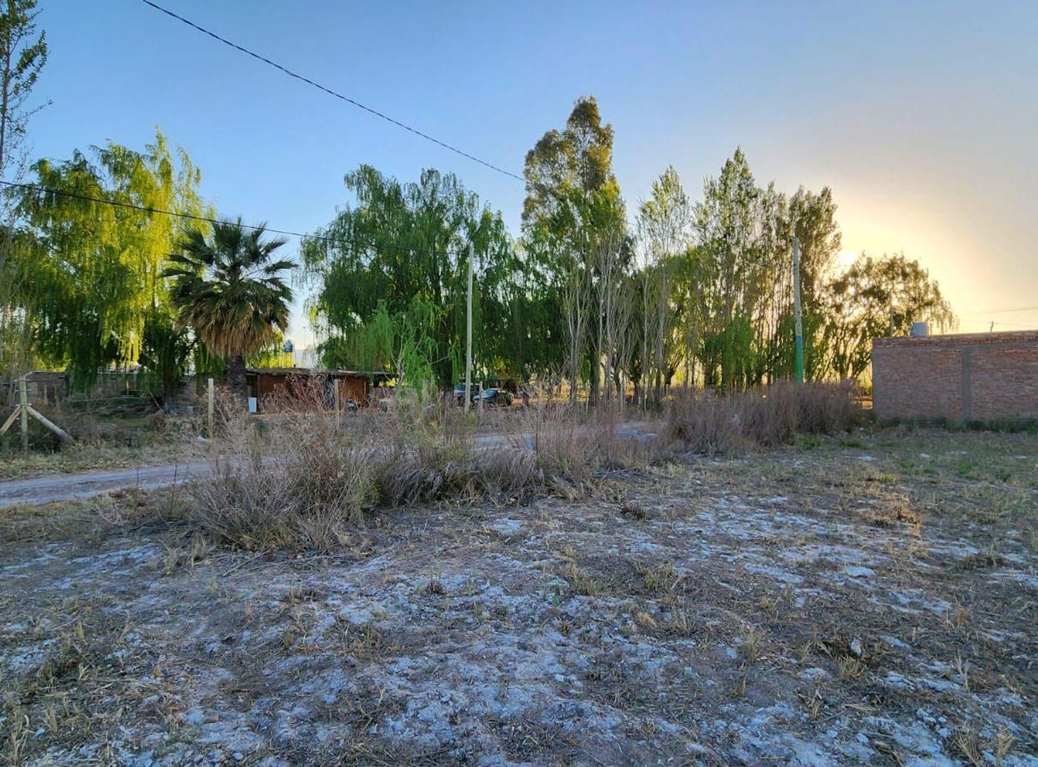Foto de TERRENO DE 2020 M2 EN LOTEO LUZ DEL SUR POCITO, imagen 5