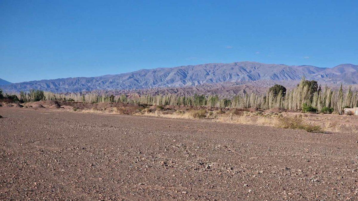 Foto de FINCA 8,26 HA APTO DESARROLLO INMOBILIARIO BARREAL, imagen 5