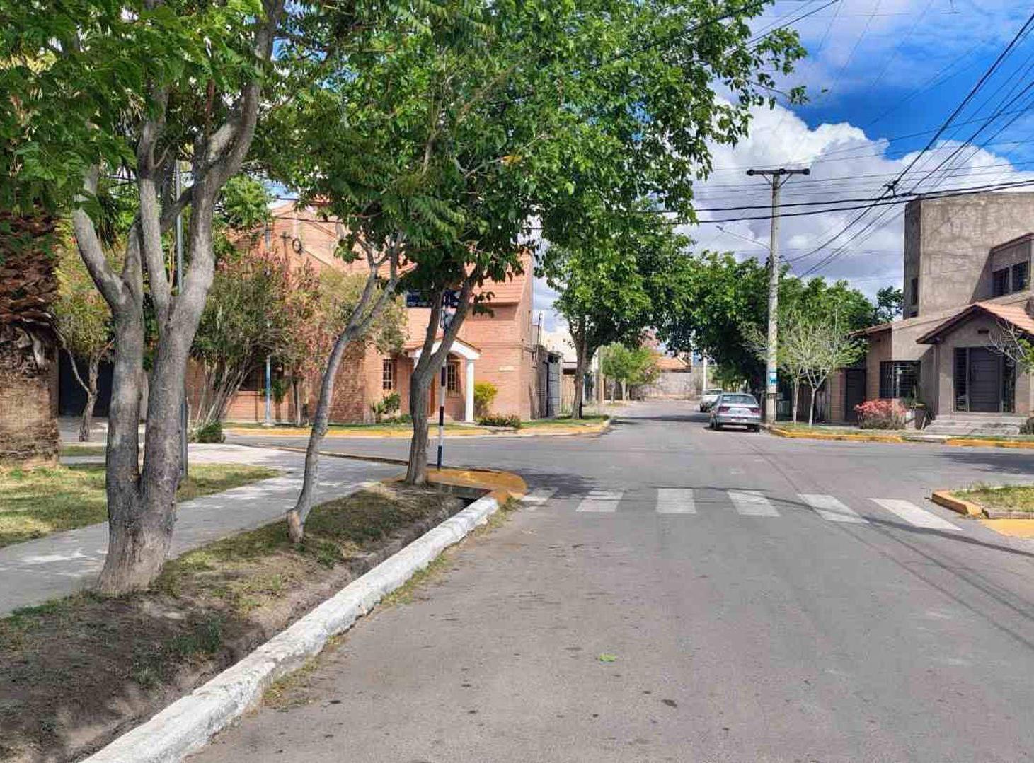 Foto de TERRENO BARRIO COLON A METROS DE BODEGA GRAFIFGNA, imagen 3