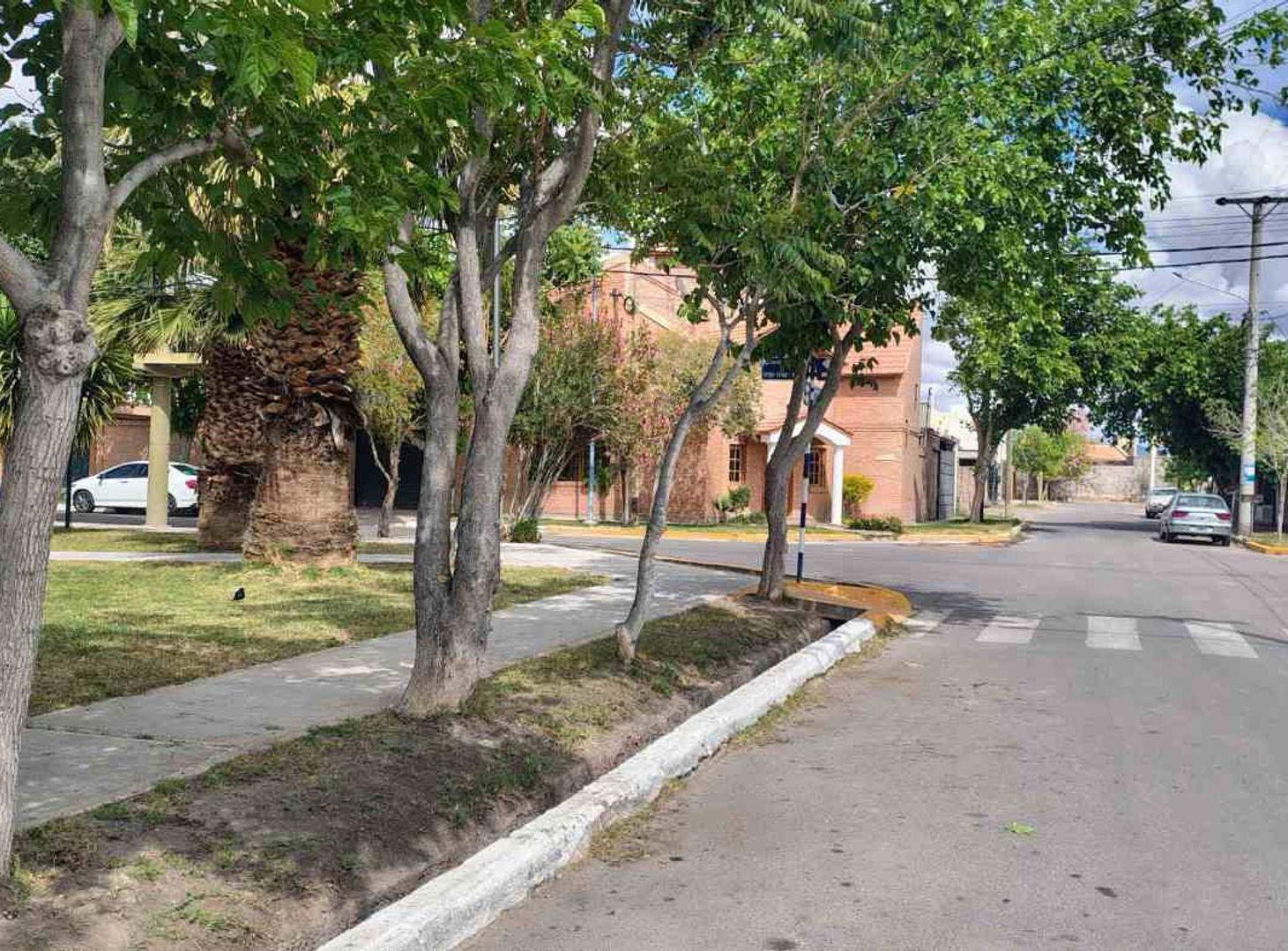 Foto de TERRENO BARRIO COLON A METROS DE BODEGA GRAFIFGNA, imagen 4