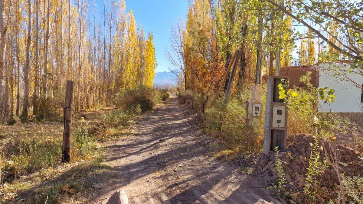 Foto de VENTA GRAN TERRENO 1 HA NEN BARREAL SUR, imagen 5