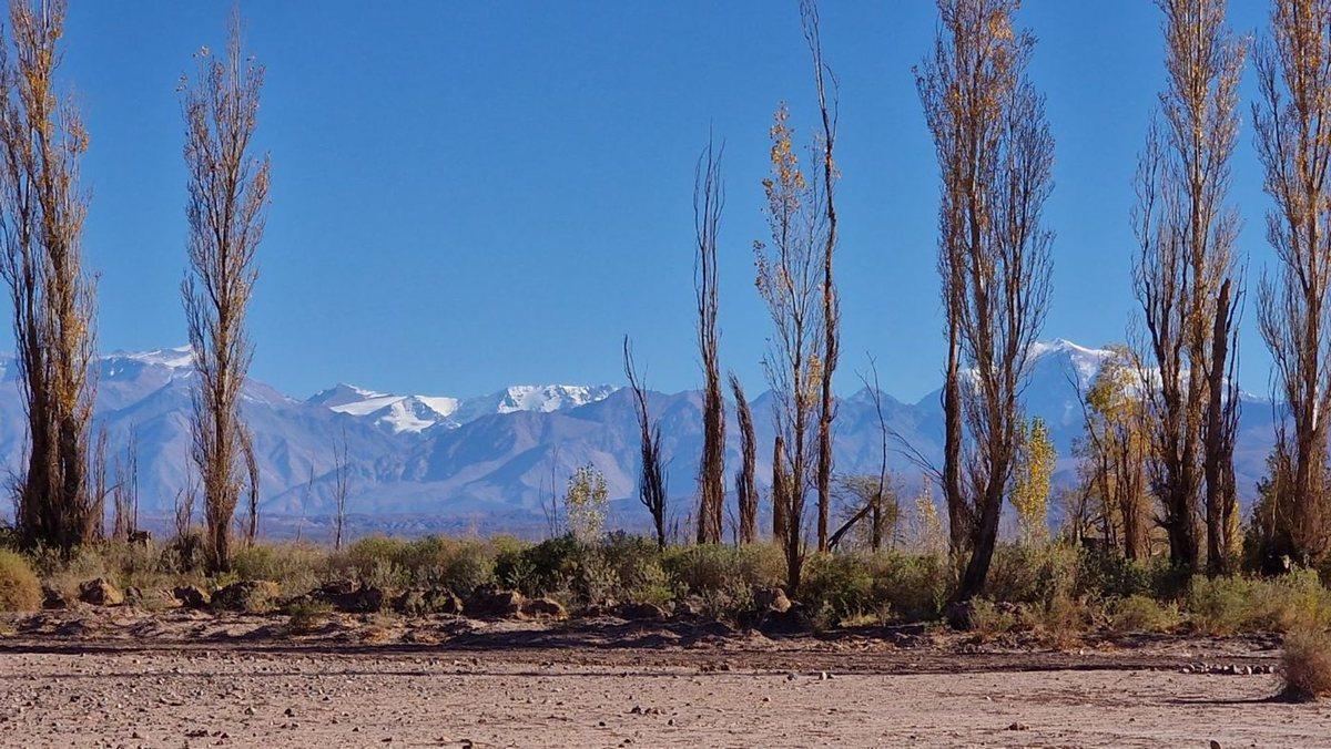 Foto de VENTA GRAN TERRENO 1 HA NEN BARREAL SUR, imagen 3