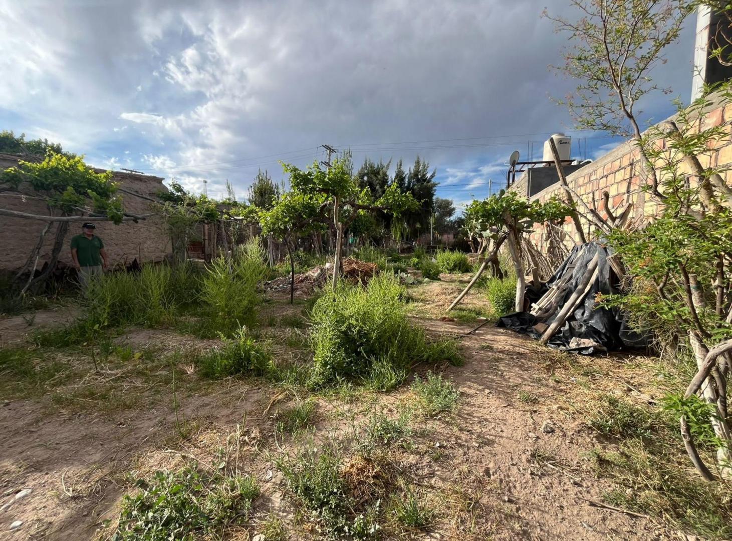 Foto de Lote de 319.68 M2 en Las Lomitas Albardon, imagen 5