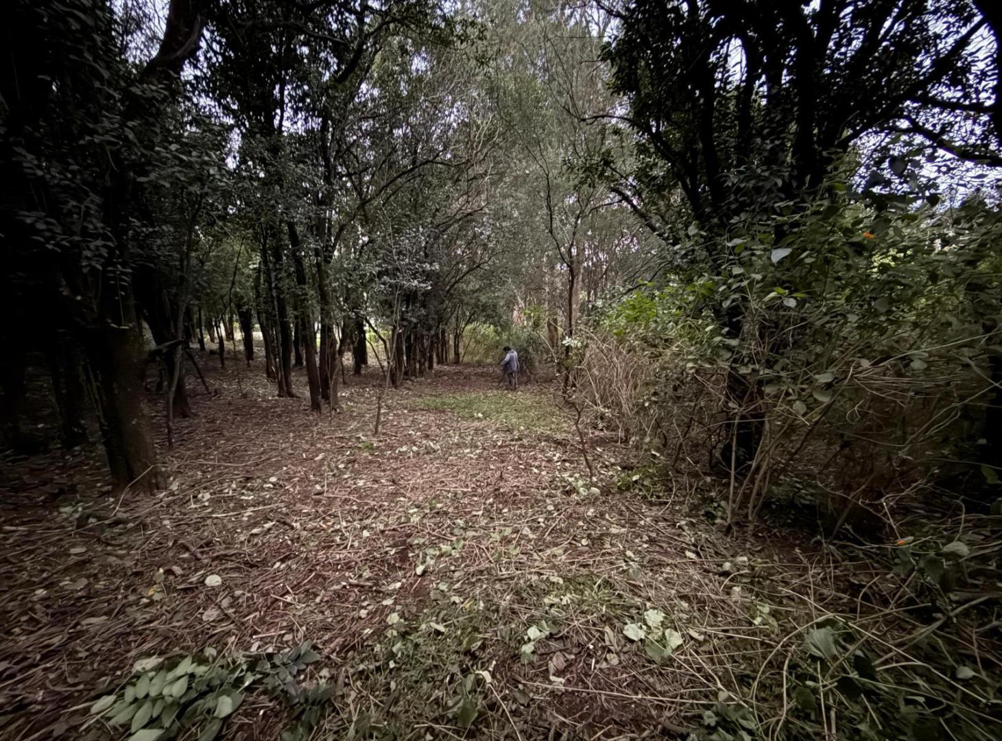 Terrenos-Venta en Loma del Cigarral-Unquillo-Oportunidad desde USD 25.000