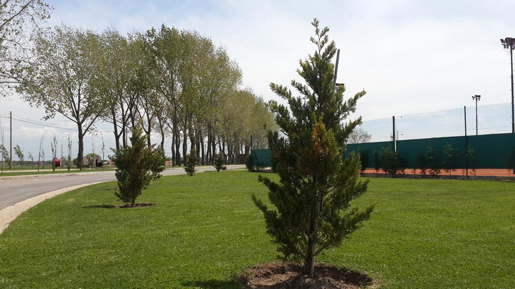 Terreno en LA ALAMEDA CANNING
