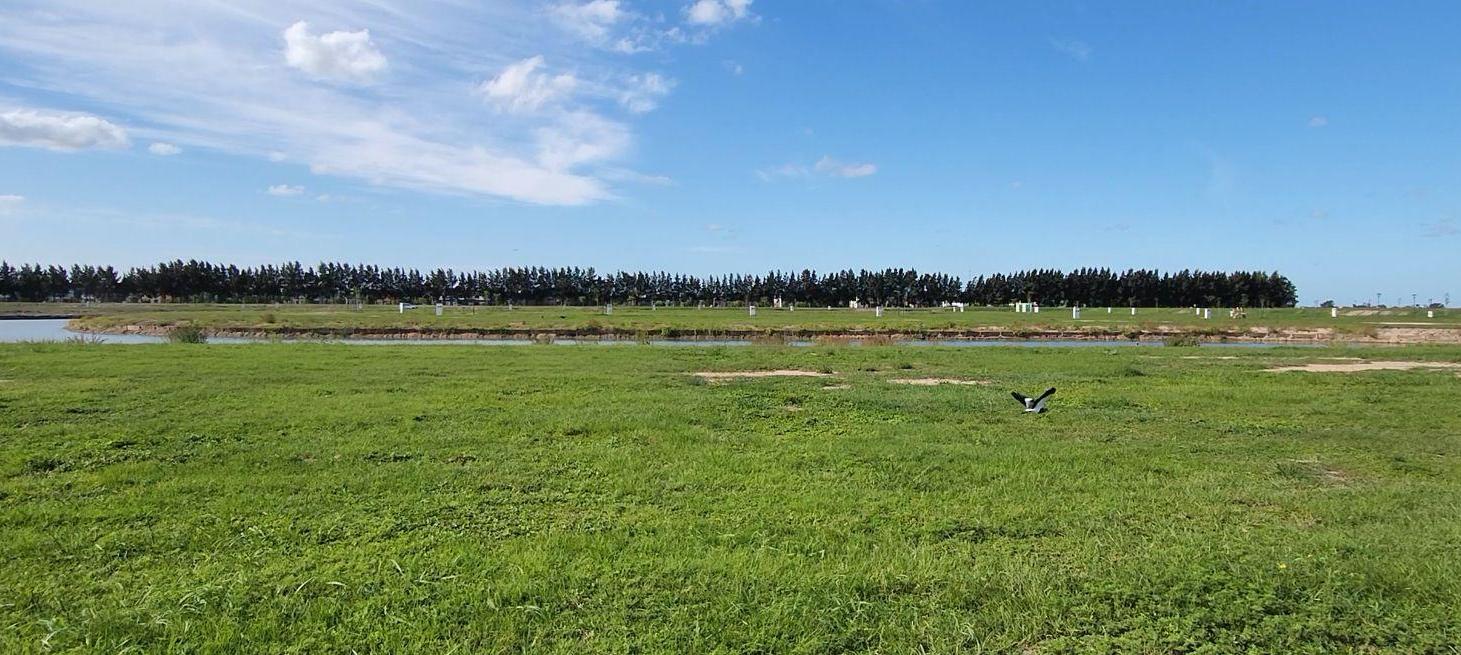 Foto de Terreno LAS VICTORIAS Canning - A LA LAGUNA, imagen 1