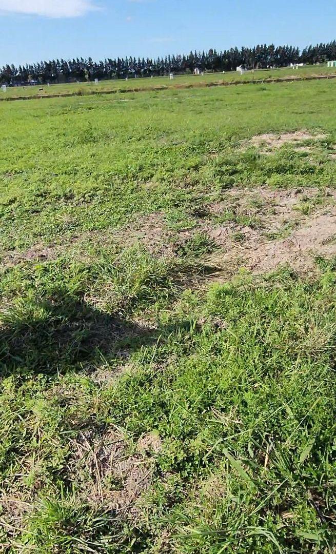 Foto de Terreno LAS VICTORIAS Canning - A LA LAGUNA, imagen 4