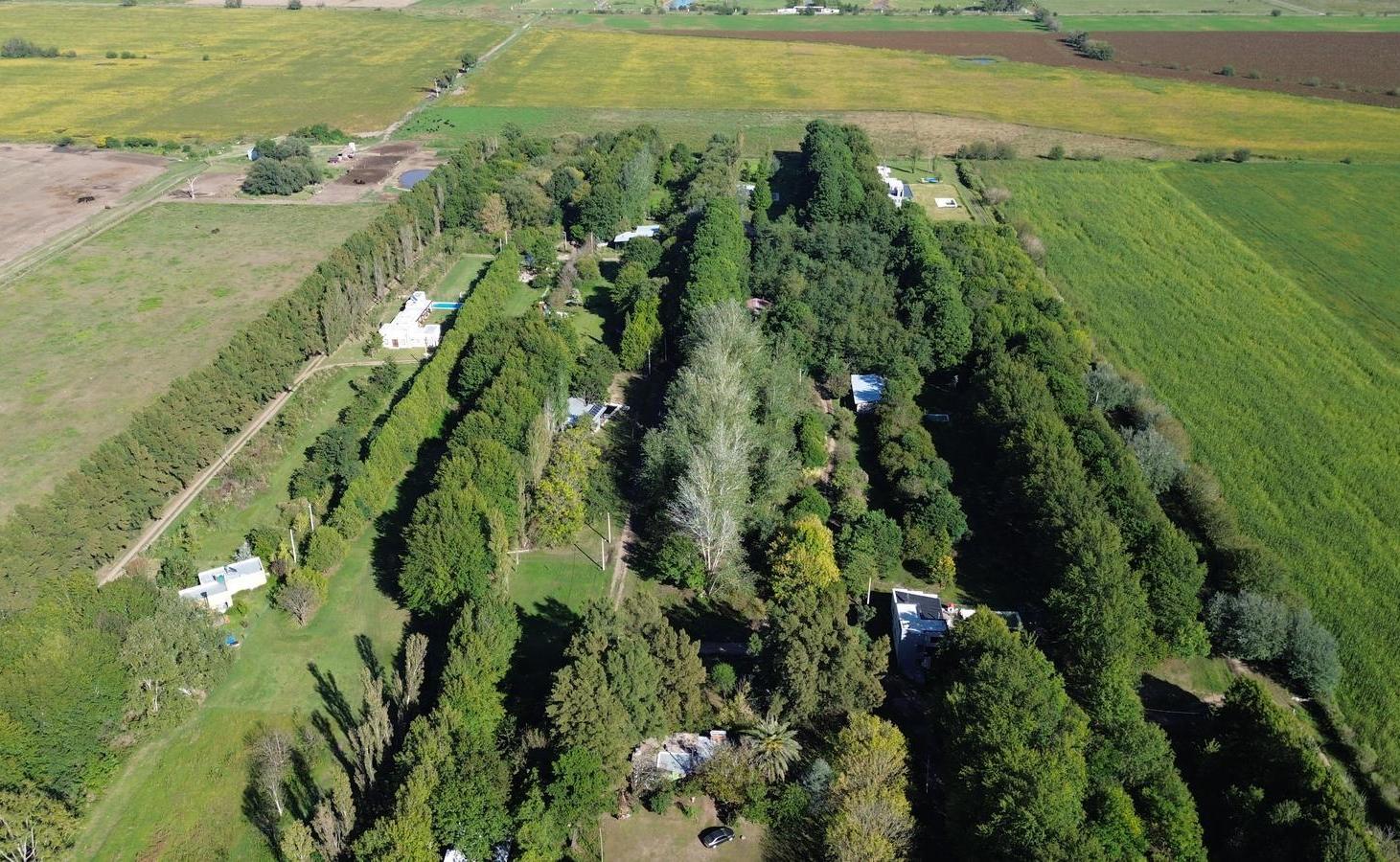 Foto de Lote en Enstancia La Catalina, imagen 4
