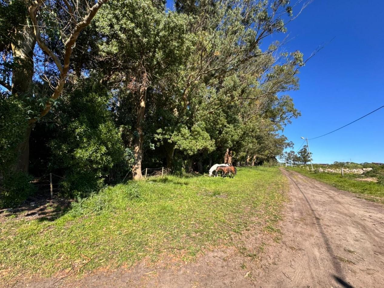 Foto de DOS LOTES - LOMAS DE SAN PATRICIO, imagen 5