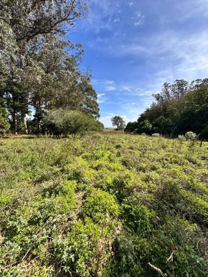 Fraccion de campo 2 y 1/2 Ha - Zona Boqueron - Mar del Plata - ALQUILER 3