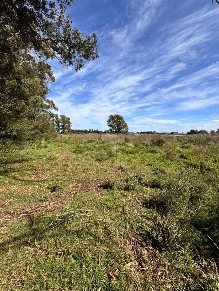 Fraccion de campo 2 y 1/2 Ha - Zona Boqueron - Mar del Plata - ALQUILER 2