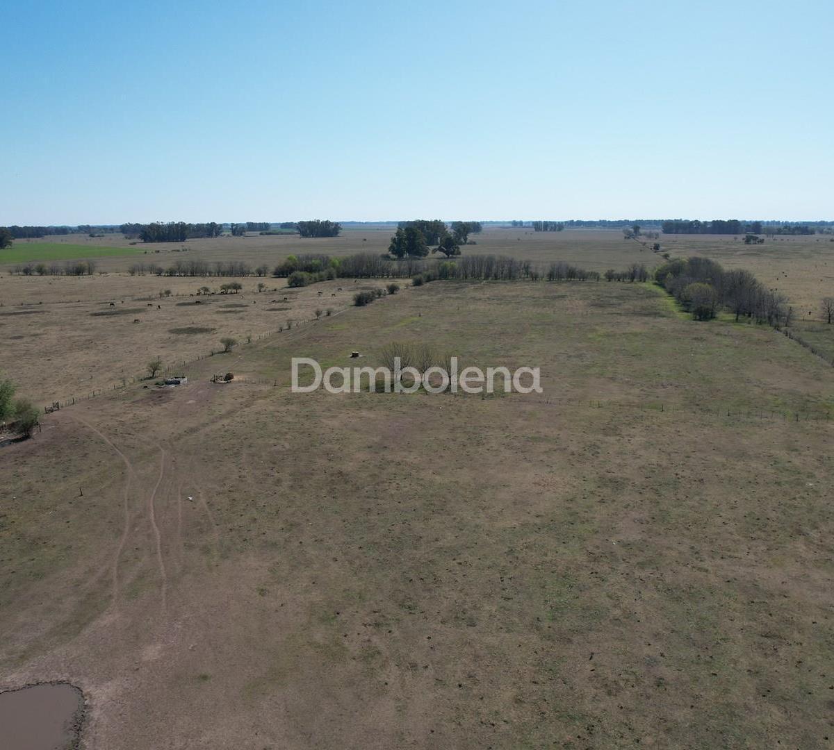 Terreno Campo en Venta en General Rodríguez, G.B.A. Zona Oeste, Argentina