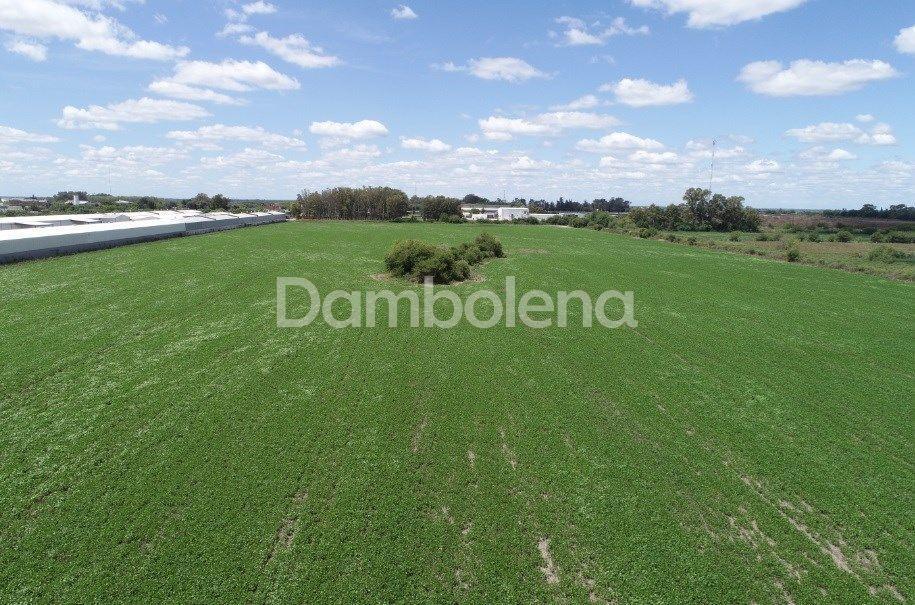 Foto de Terreno Fraccion en Venta, Zarate Centro, Zárate, imagen 3