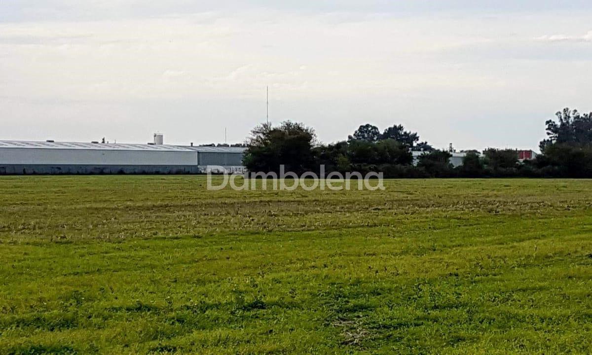 Terreno Fraccion  en Venta, Zarate Centro, Zárate