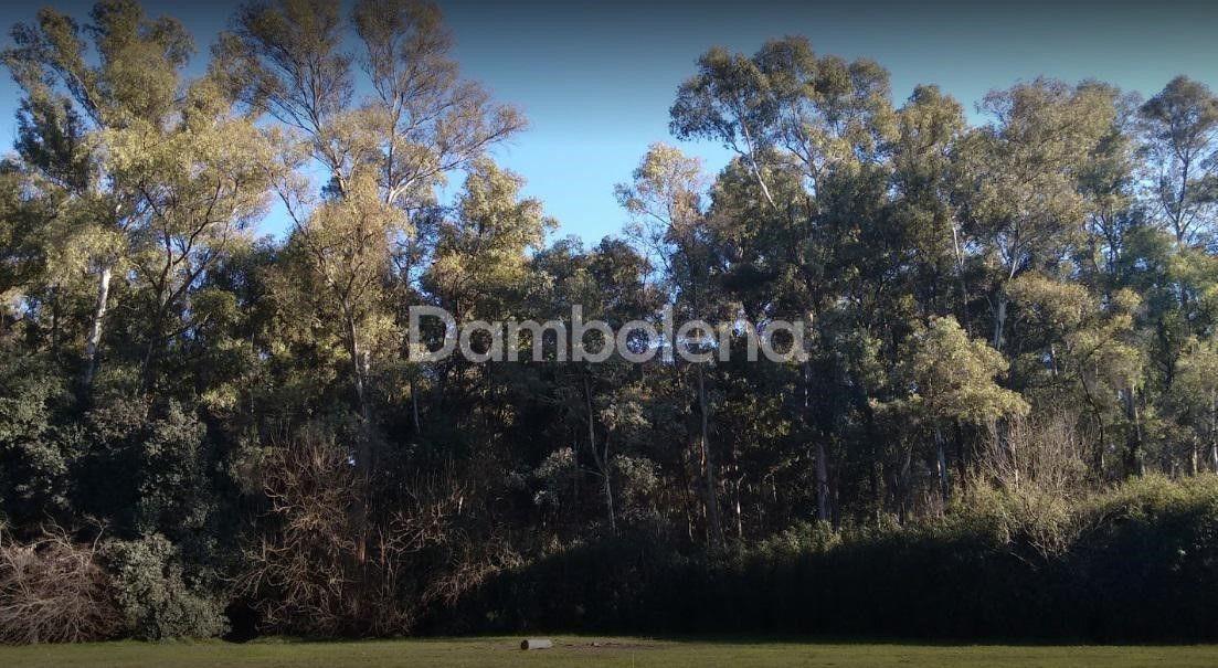 Foto de Terreno en Venta o permuta ubicado en Pilar, Pilar y Alrededores, imagen 2