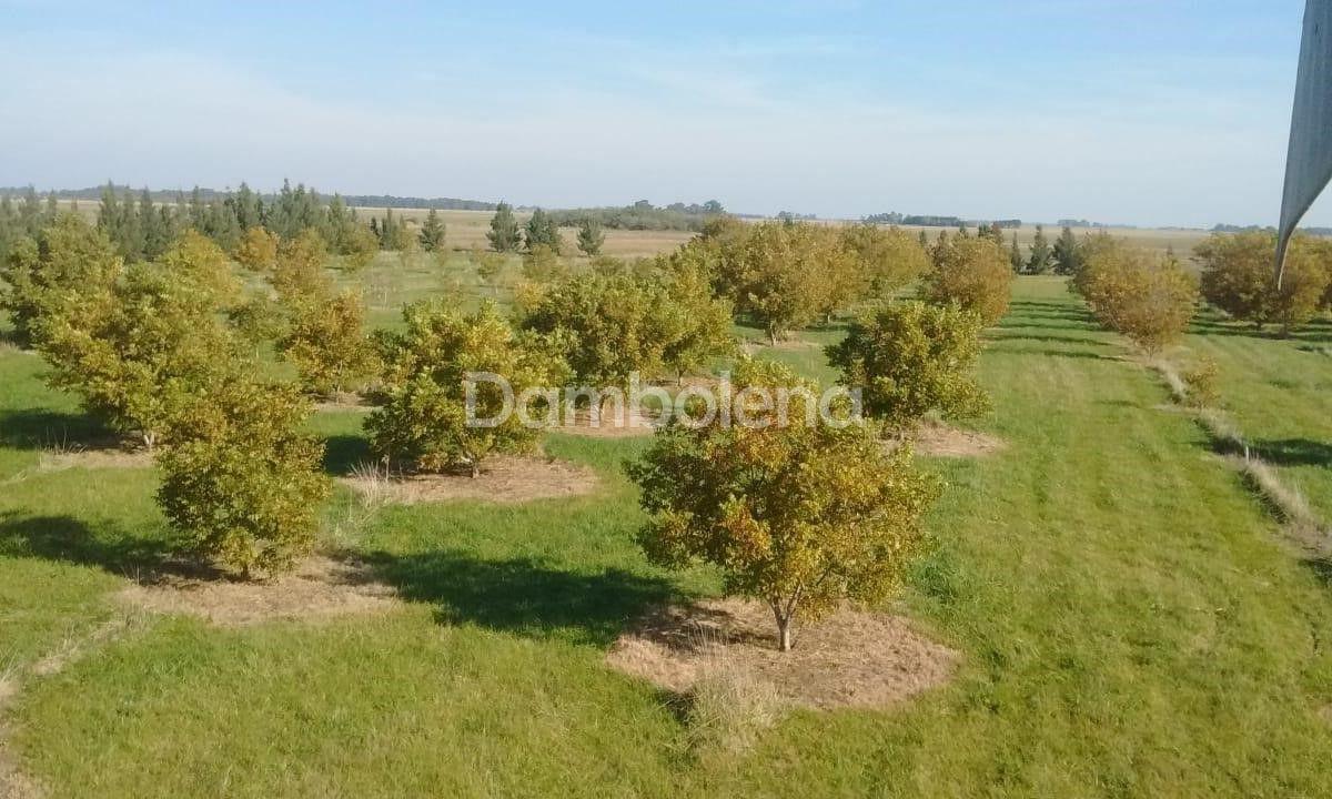 Terreno en Venta o Permuta Ubicado en Punta Indio, Resto de La Provincia 1