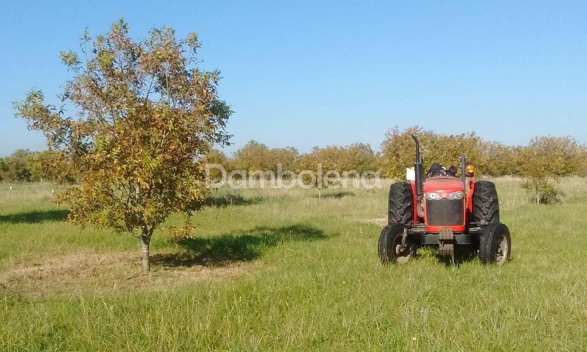 Terreno en Venta o Permuta Ubicado en Punta Indio, Resto de La Provincia 4