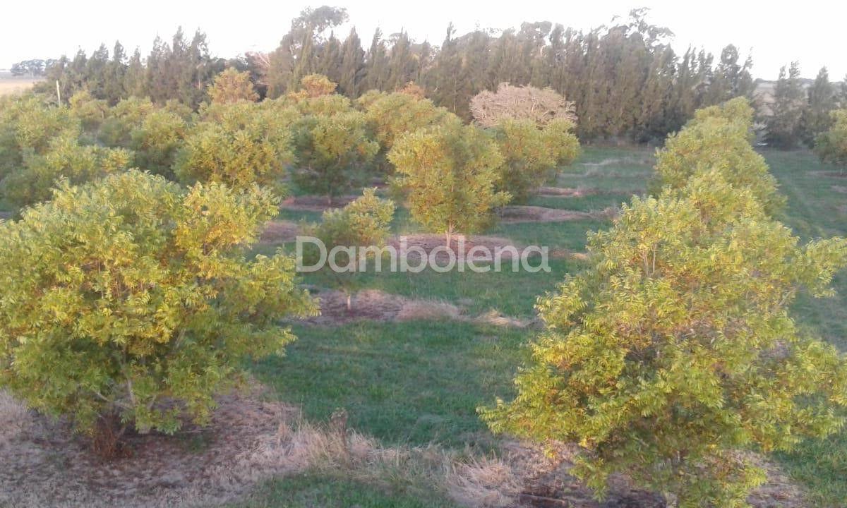 Terreno en Venta o Permuta Ubicado en Punta Indio, Resto de La Provincia 3