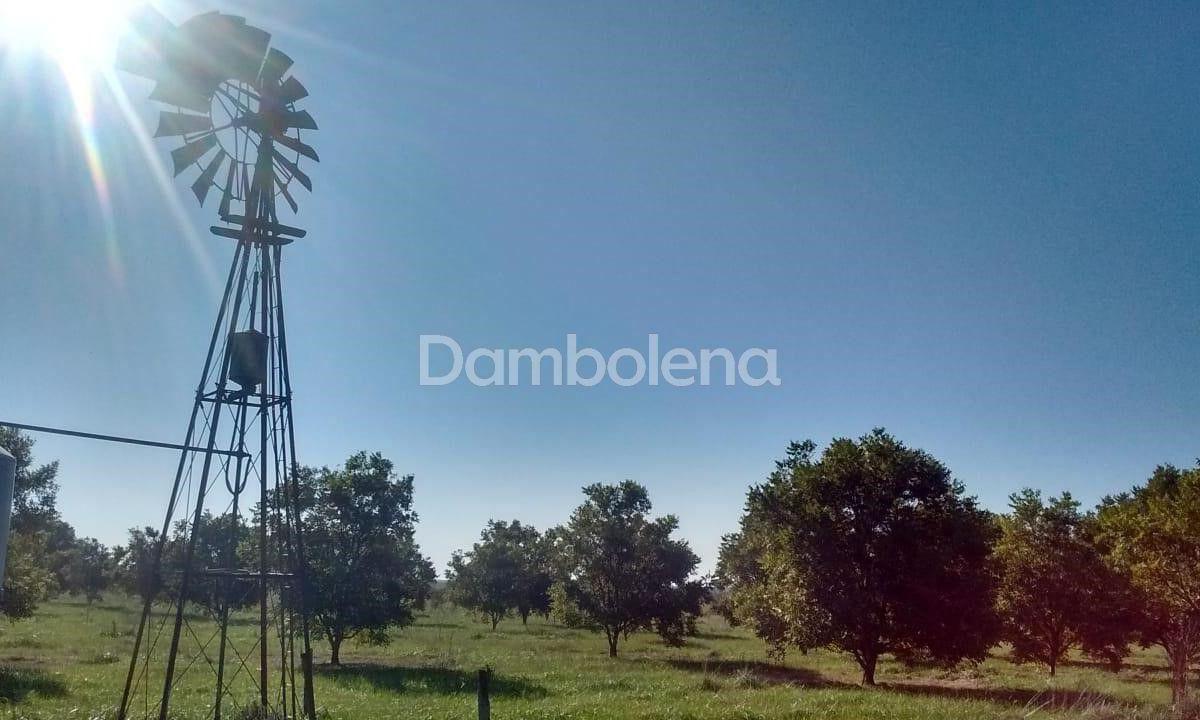 Terreno en Venta o Permuta Ubicado en Punta Indio, Resto de La Provincia 2