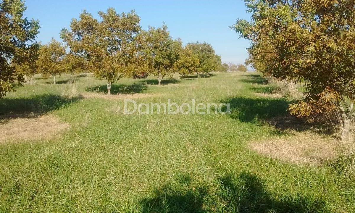 Terreno en Venta o Permuta Ubicado en Punta Indio, Resto de La Provincia 5