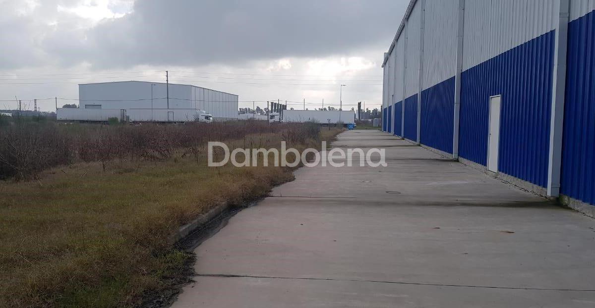 Depósito Galpón  en Venta o permuta ubicado en General Rodríguez, General Rodríguez