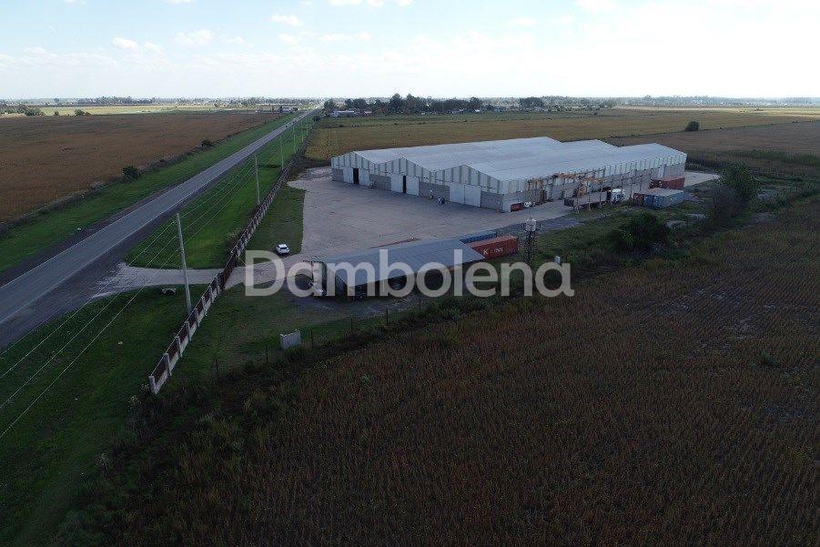 Depósito Galpón en Venta Ubicado en Alvear, Rosario 2