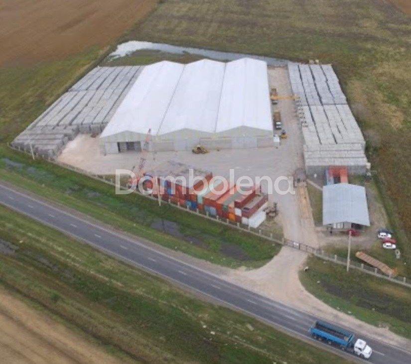 Depósito Galpón en Venta Ubicado en Alvear, Rosario 4
