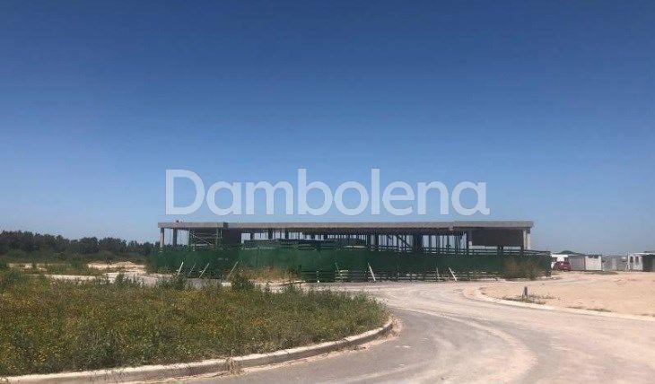 Terreno Lote en Venta, Carpinchos, Nordelta