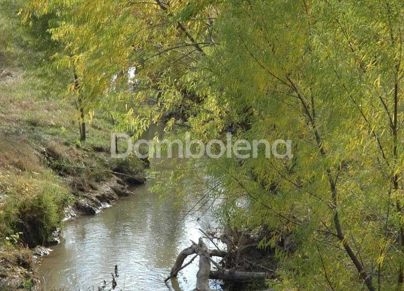 Foto de Terreno Lote en Venta en La Elina, Luján, G.B.A. Zona Oeste, imagen 5