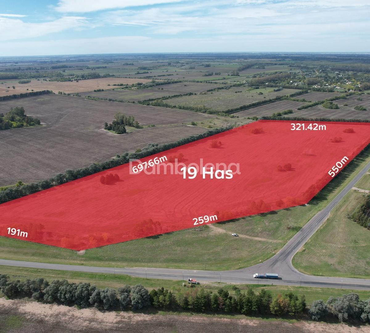 Imagen de la propiedad