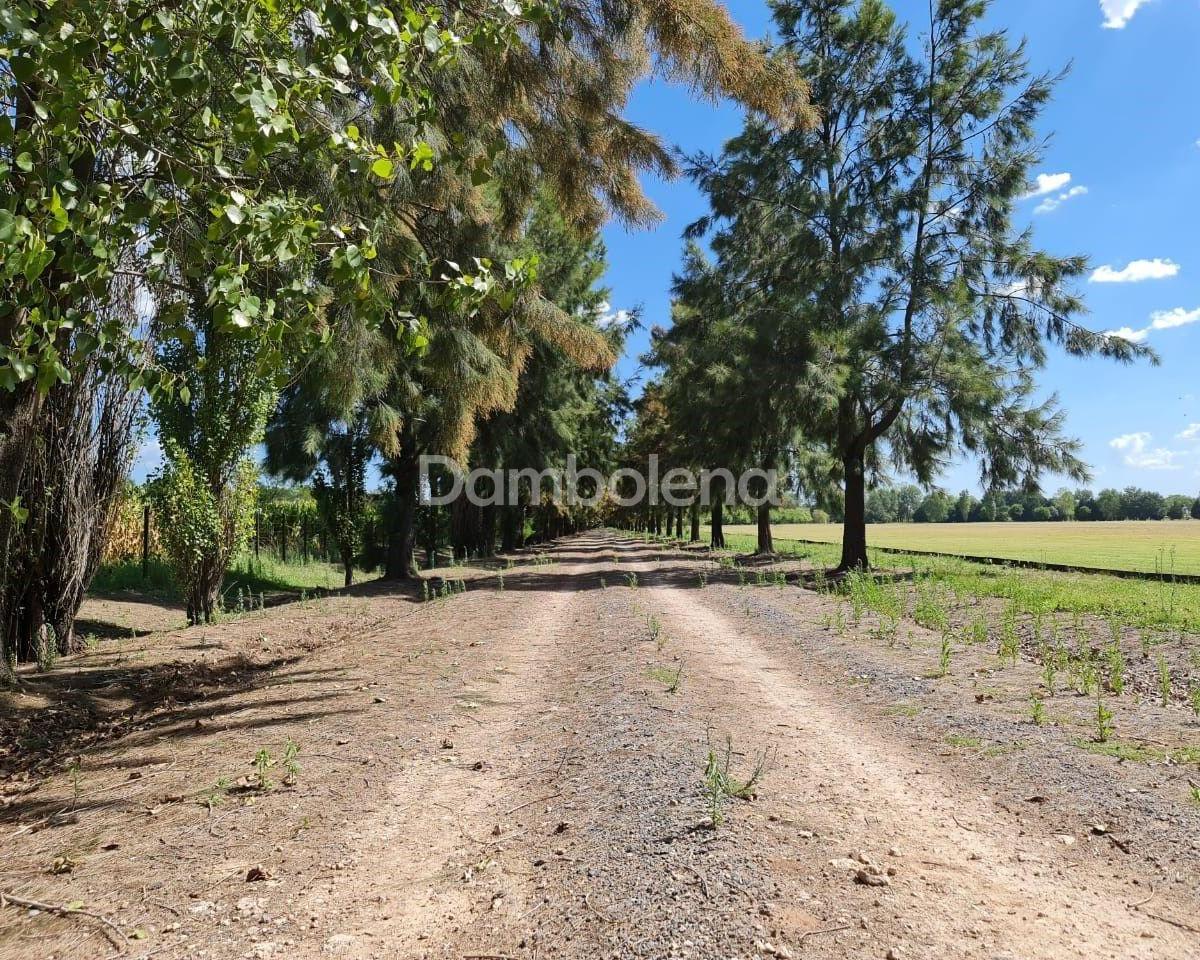 Foto de Terreno Fraccion en Venta, General Rodríguez, imagen 5