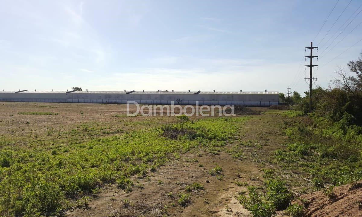 Foto de Terreno Fraccion en Venta ubicado en Zárate, imagen 4