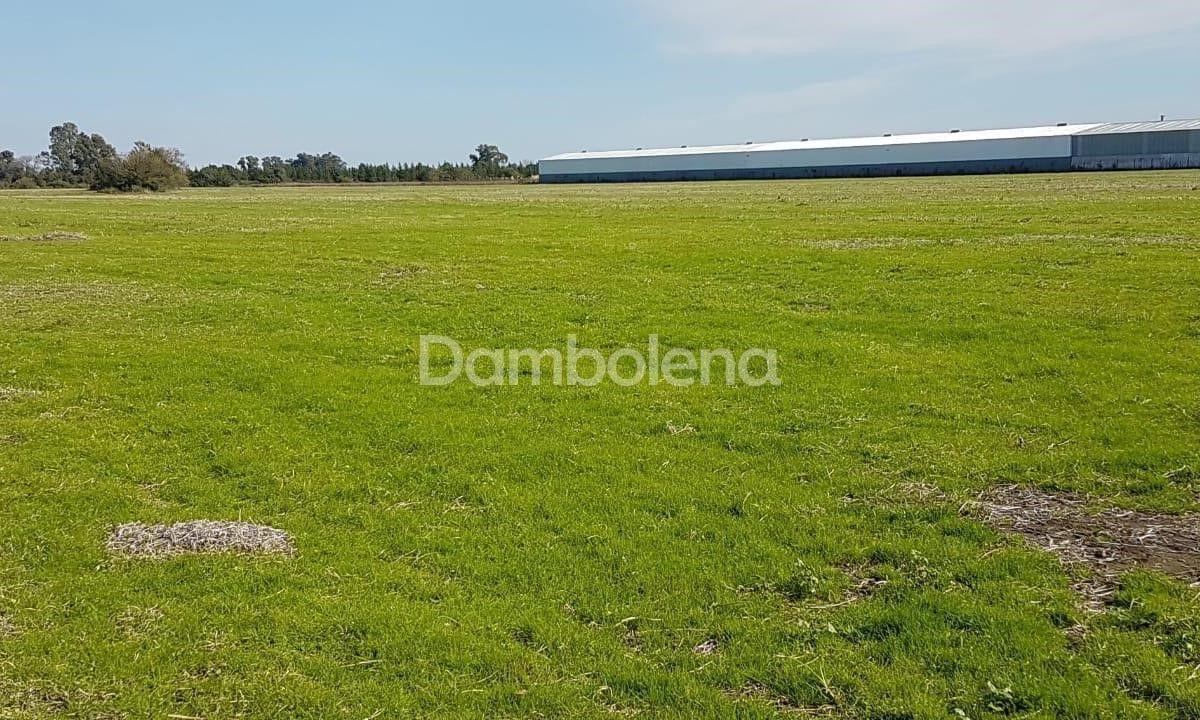 Terreno Fraccion  en Venta en Parque Industrial, Zárate