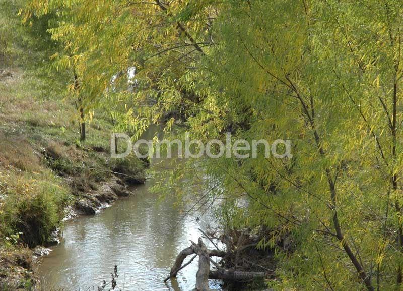 Foto de Terreno Lote Uf 72 en Venta ubicado en Barrio Cerrado Elina - Comarcas, imagen 2