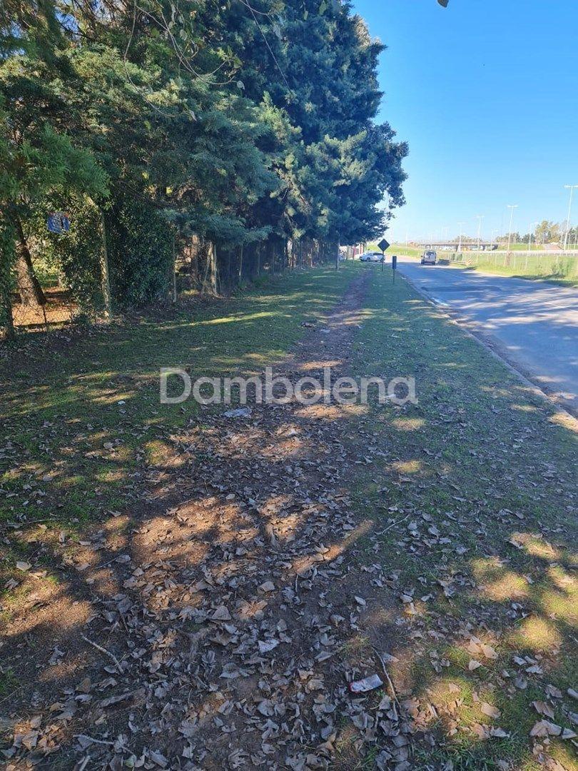 Foto de Terreno Fraccion en Venta, General Rodríguez, imagen 2