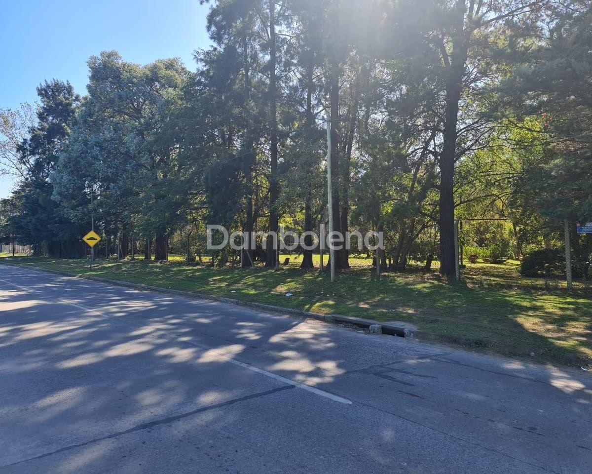 Foto de Terreno Fraccion en Venta, General Rodríguez, imagen 5
