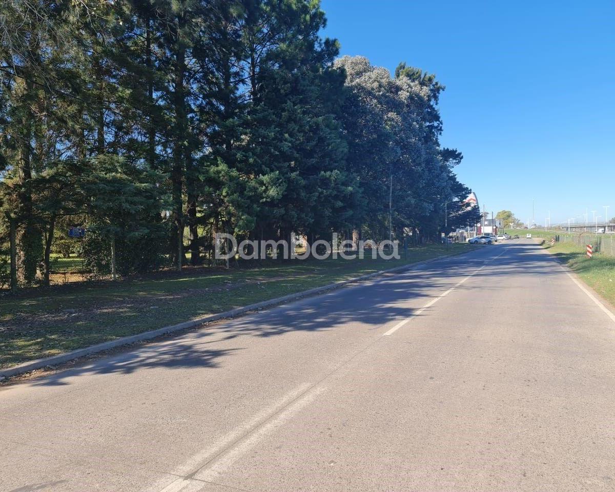Foto de Terreno Fraccion en Venta, General Rodríguez, imagen 4