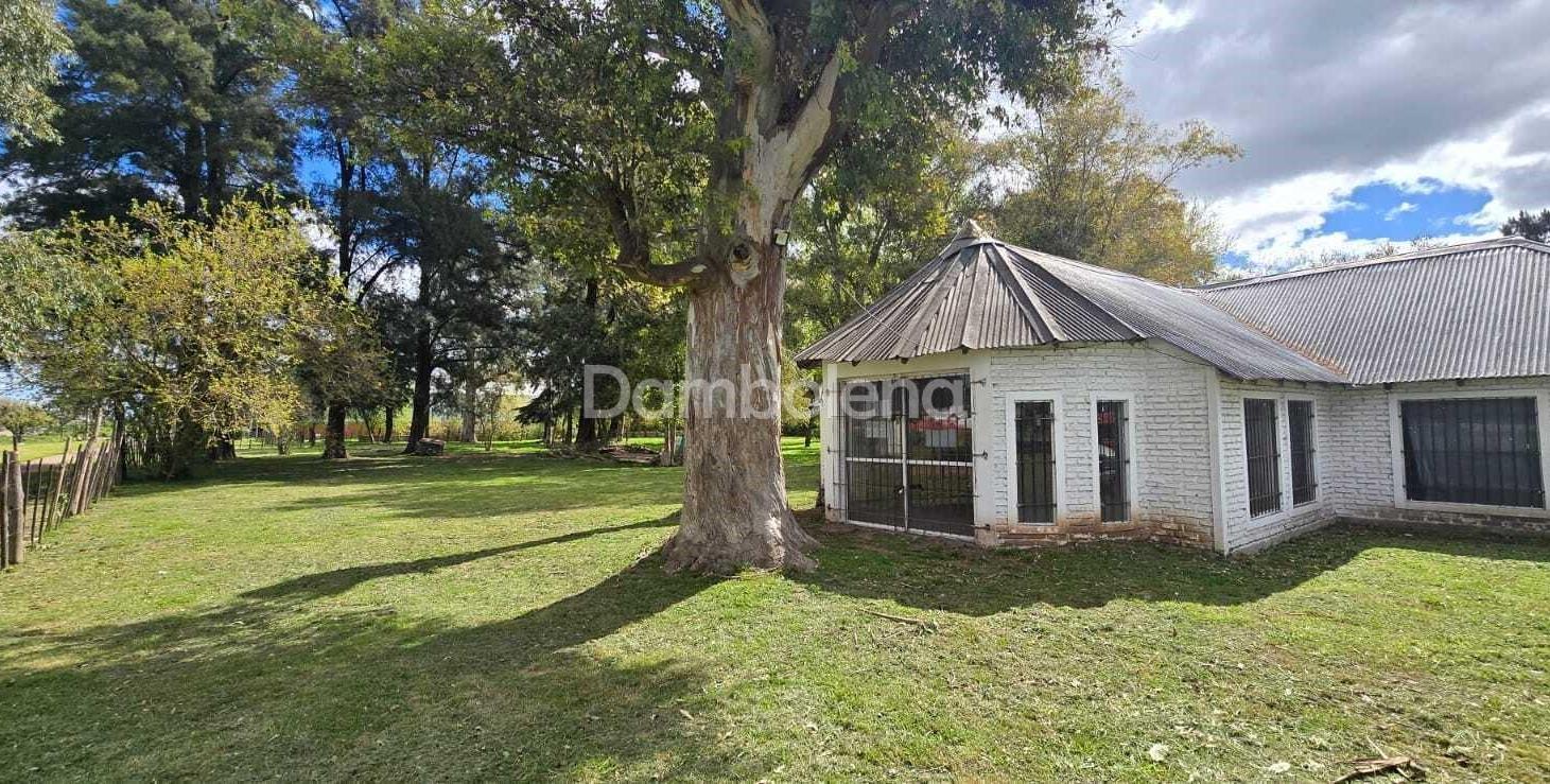 Foto de Local en Alquiler en Francisco Álvarez, Moreno, imagen 4