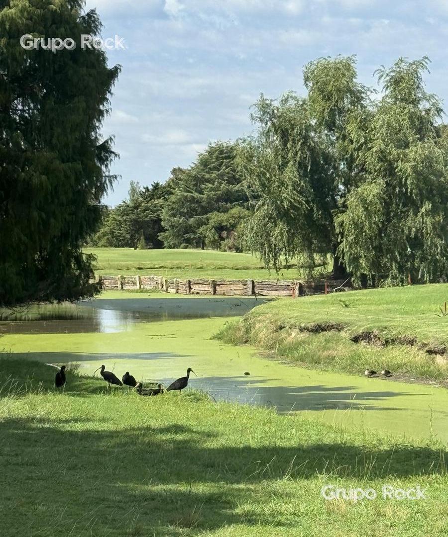 Foto de OPORTUNIDAD Hermosa casa Campo Chico Country Club - Pilar, imagen 5