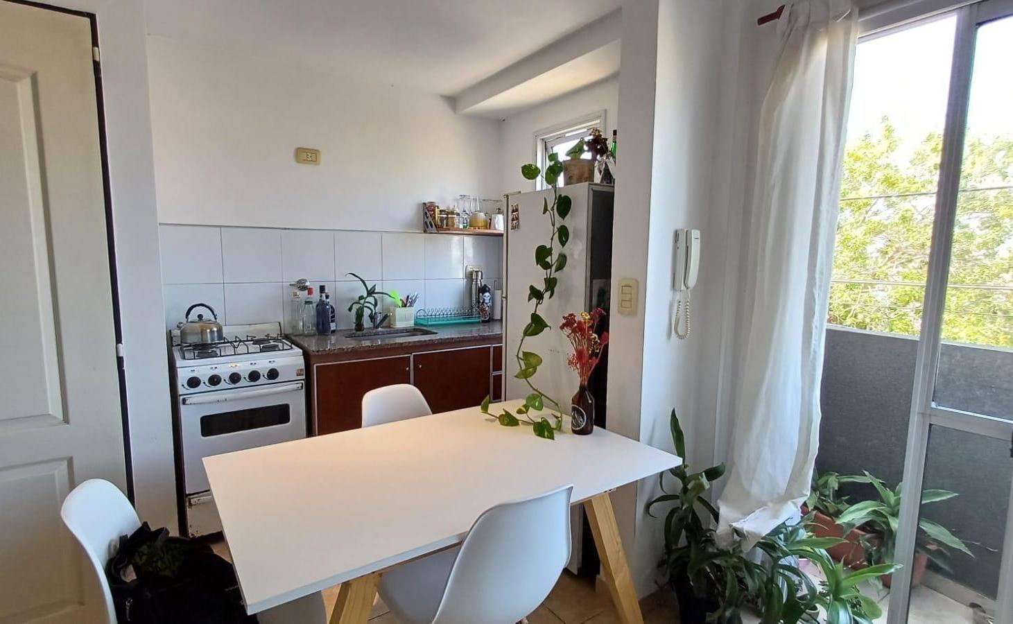 Foto de DEPARTAMENTO SEMIPISO 1 DORM - APTO BANCO - 30 e/55 y 56 - LA PLATA, imagen 4